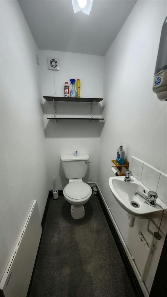 img11.jpeg