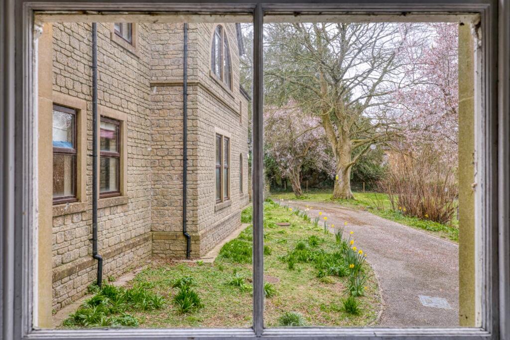 Additional image 6 of Bruton
