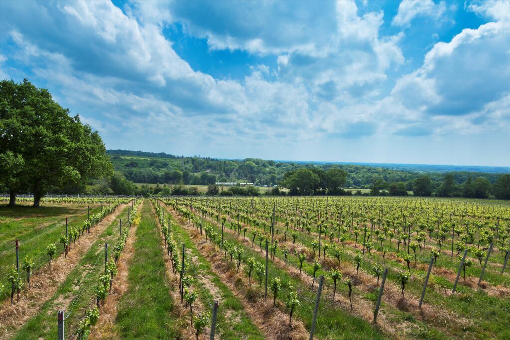 Main image of property: Halnaker Vineyard, West Sussex PO18