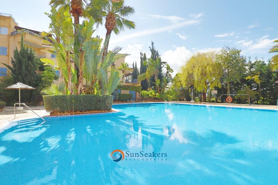 Main image of property: Paphos, Peyia