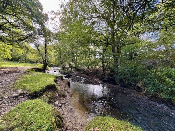 THE BROOK
