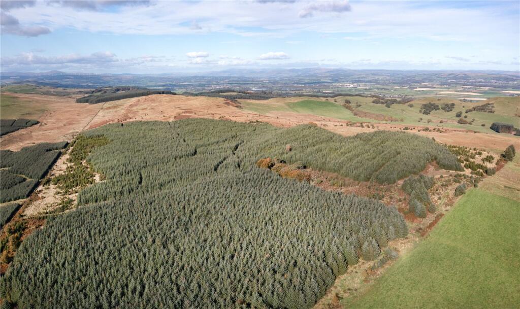 Main image of property: Lot 3 - Kirkhill Forestry & Willow, Dalton, Lockerbie, Dumfries and Galloway, DG11