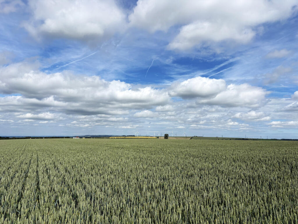 Main image of property: North Newbald, Near Market Weighton