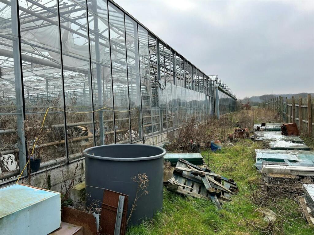 Ivanhoe Nurseries, Ironwell Lane, Hockley, SS5 4JY photo 3