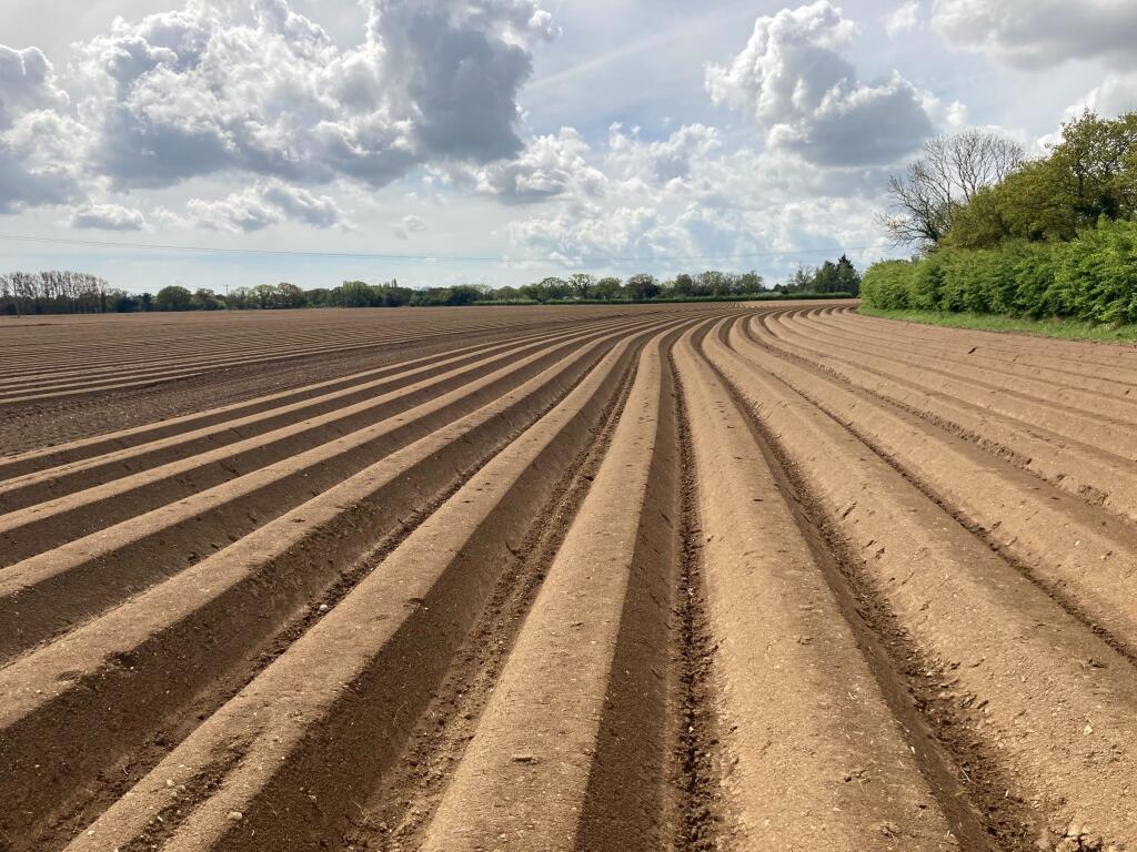 Main image of property: Land at Morrow Lane, Ardleigh