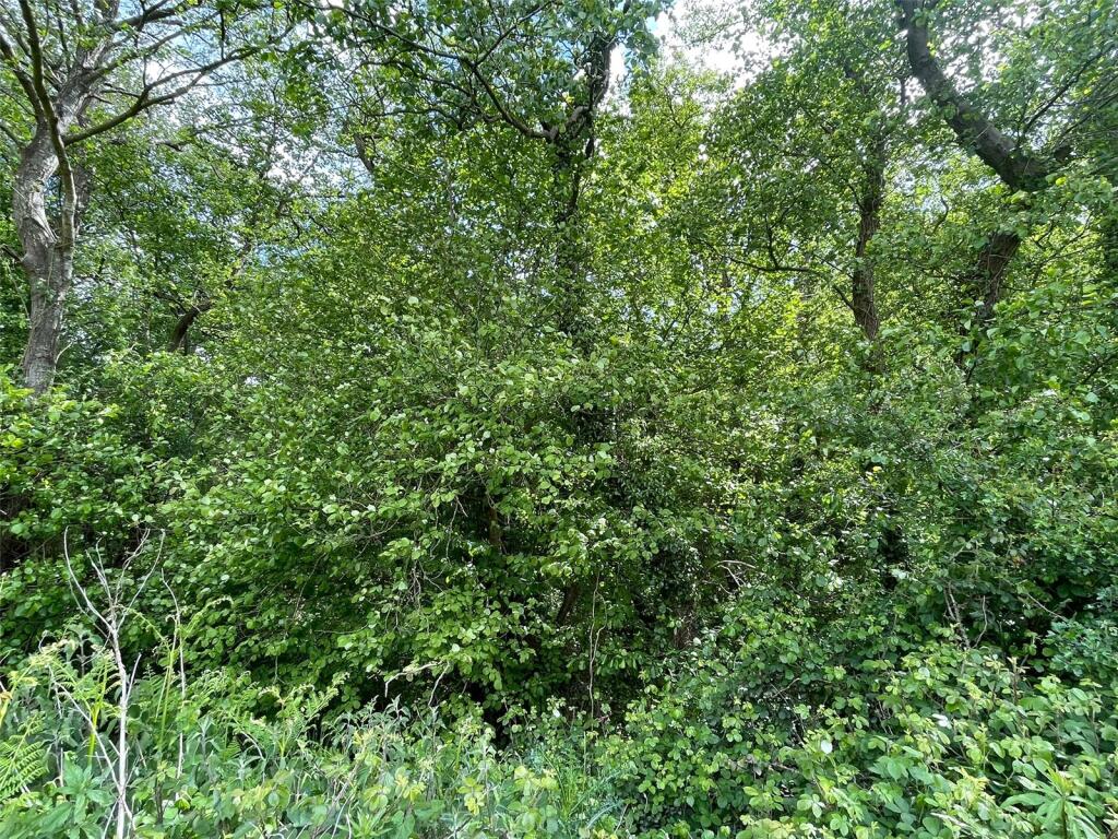 Main image of property: Off Station Road, Buscott, Ashcott, Somerset, TA7