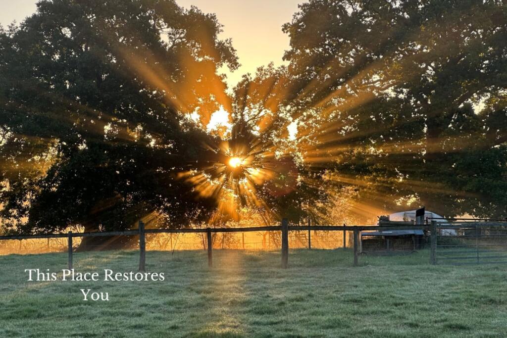 Additional image 21 of Forget Me Not Farm, Earlswood, B94