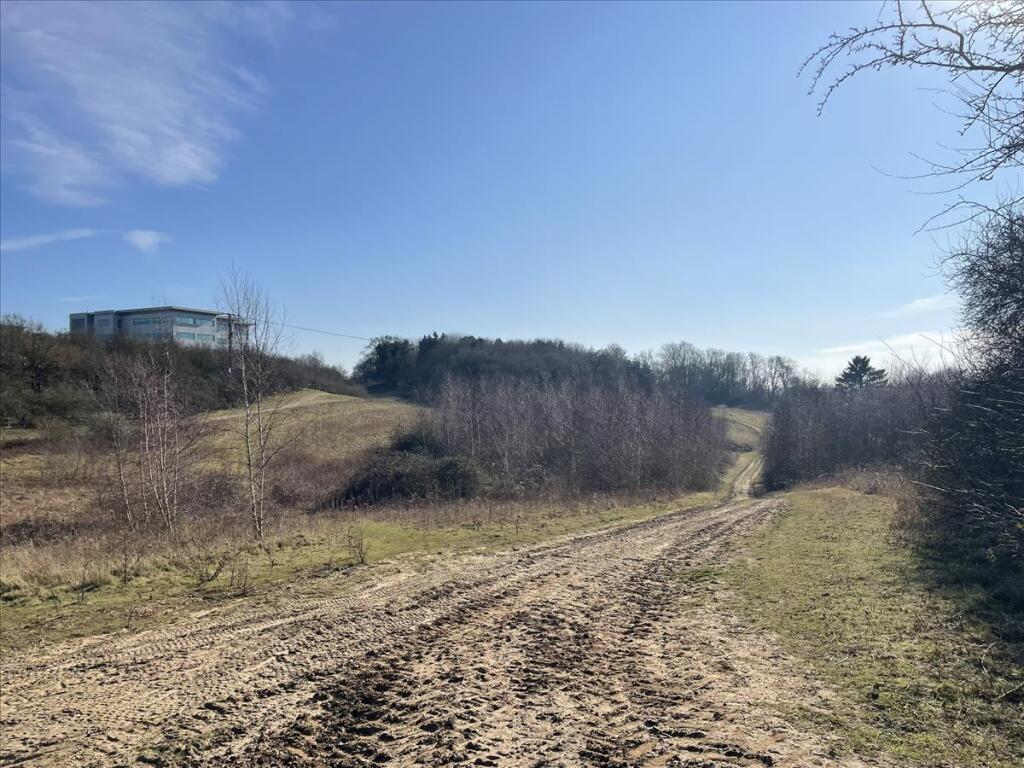 Paper Mill Lane, Bramford, Ipswich, IP8 - More
