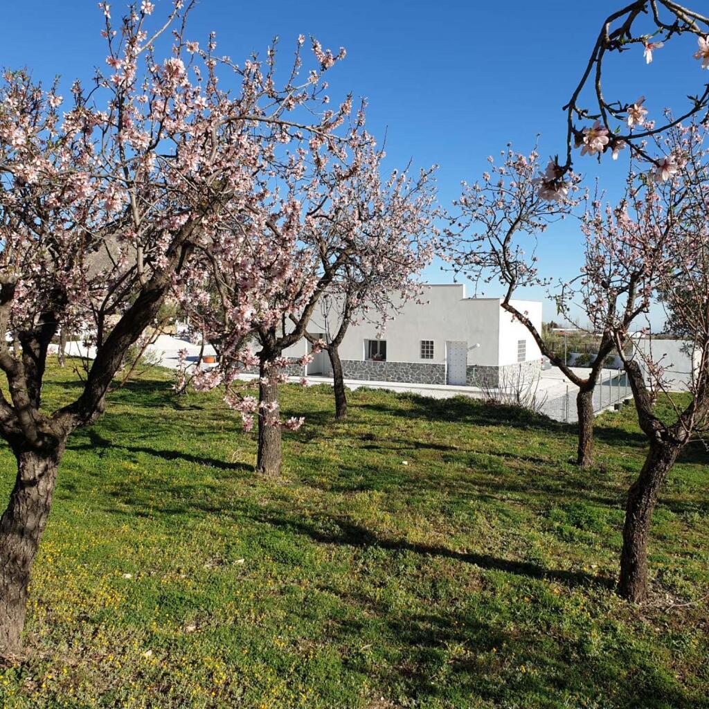 Main image of property: Andalucia, Almería, Oria