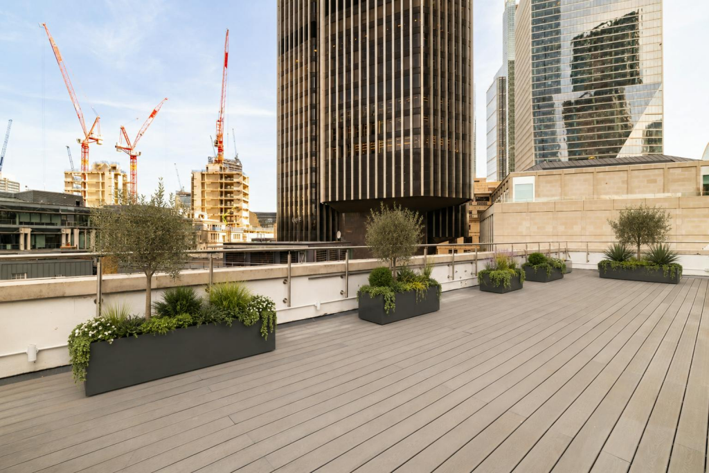 Terrace 2.png