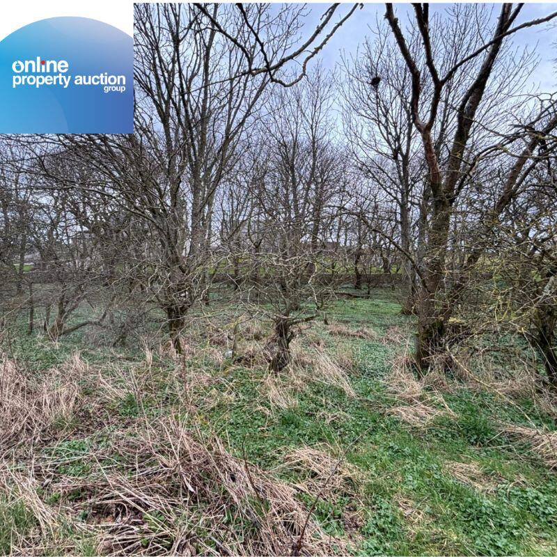Tyrie Church Woodland, Fraserburgh, AB43 7DL - View 4