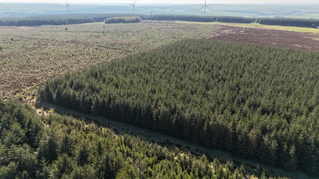 Additional image 10 of Woodland at Broadmuir, Hill of Fisherie, Turriff, AB53 5QL