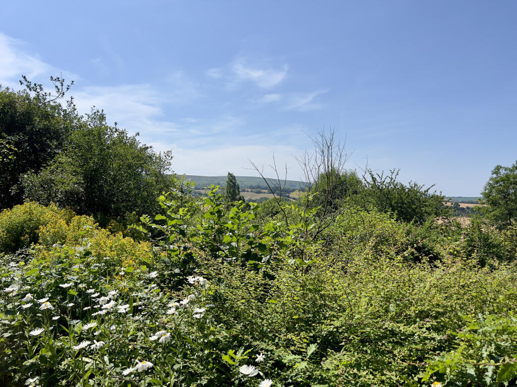 House in Taunton - View 3