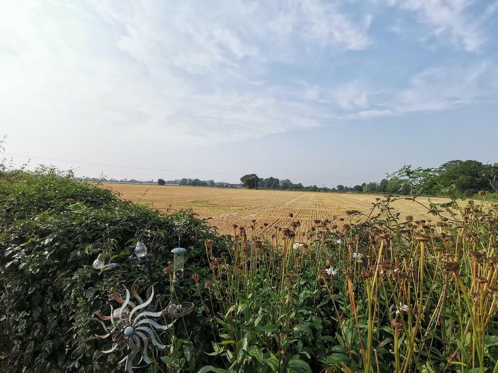 Halesworth Road, Spexhall, Halesworth photo 2