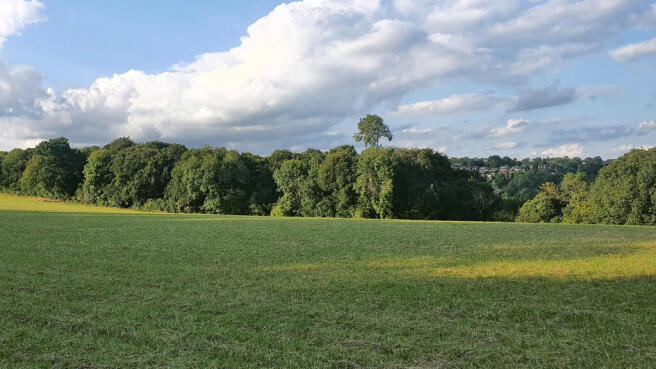 Pasture land for sale in Marlow