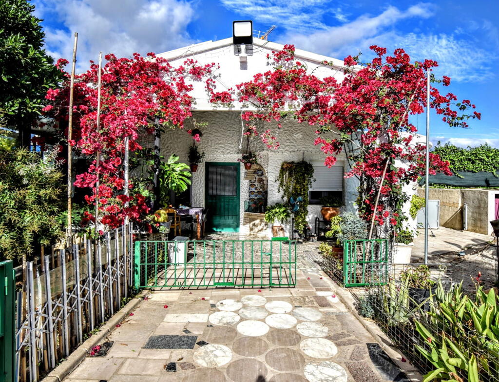 Main image of property: Valencia, Valencia, Chiva