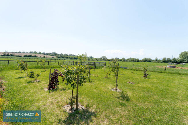 Field