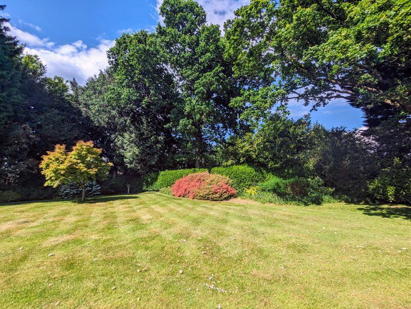 The Rise, Brockenhurst photo 4