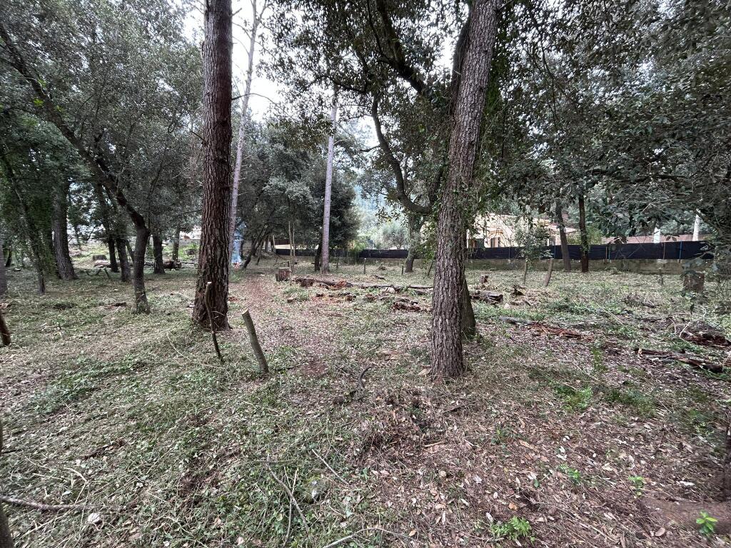 Main image of property: Balearic Islands, Mallorca