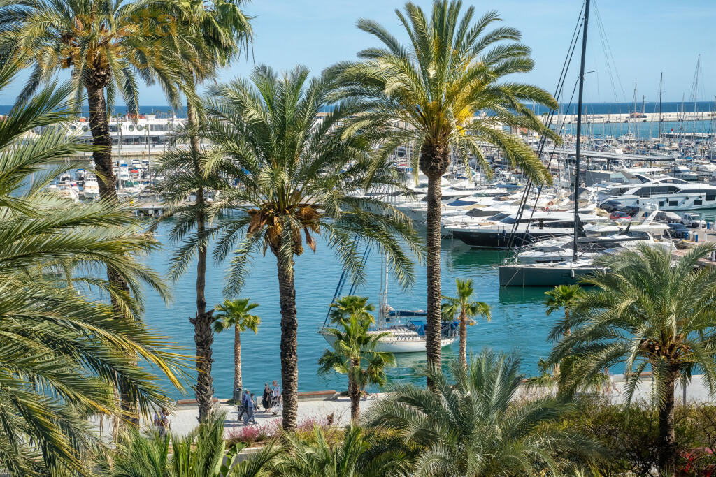 Main image of property: Valencia, Alicante, Alicante