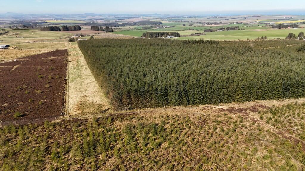 Additional image 8 of Woodland at Broadmuir, Hill of Fisherie, Turriff, AB53 5QL