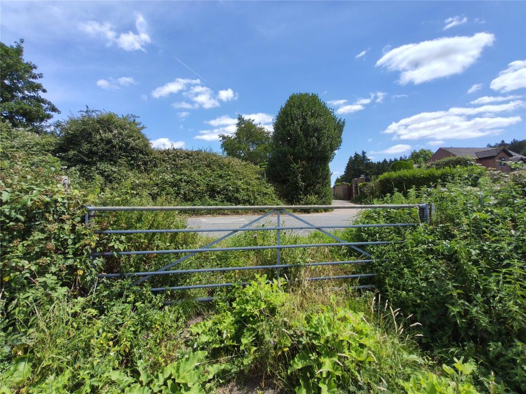 Mid Street, South Nutfield - View 5