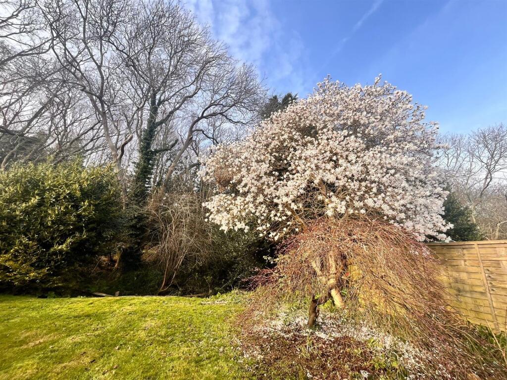 Knowle Road, Fairlight - View 4