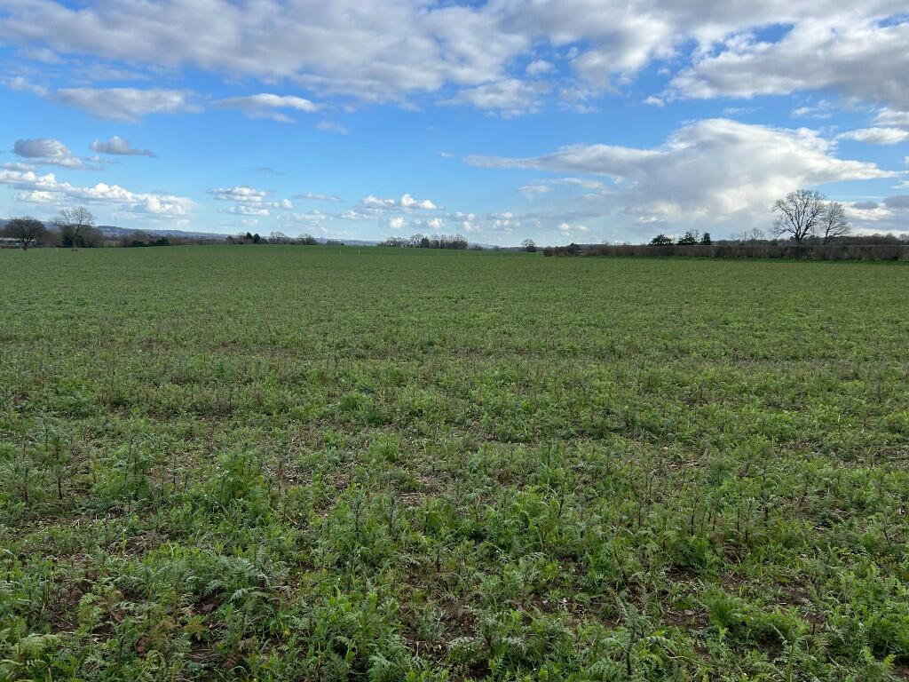 Main image of property: Lower Lanes Meadow, WV5