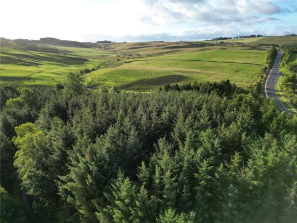 Drone View
