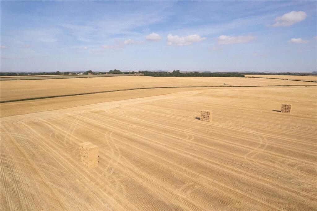 Lot 2 - Land At Beeford and Foston, Beeford, Driffield, East Riding of Yorkshi, YO25 - View 2