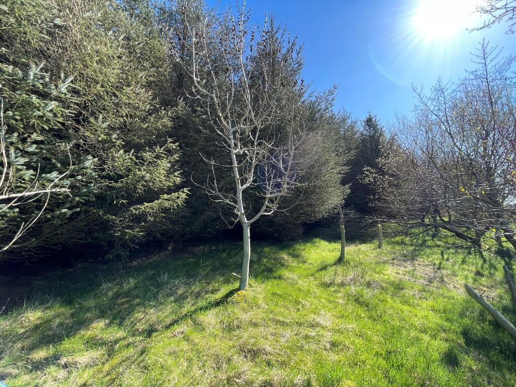 Additional image 17 of Woodland at Broadmuir, Hill of Fisherie, Turriff, AB53 5QL