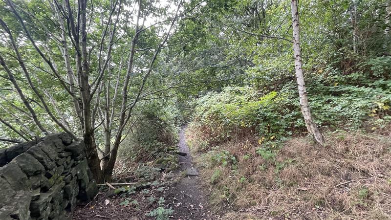 Land On Heptonstall Road, Hebden Bridge, West Yorkshire HX7 6BD - View 4