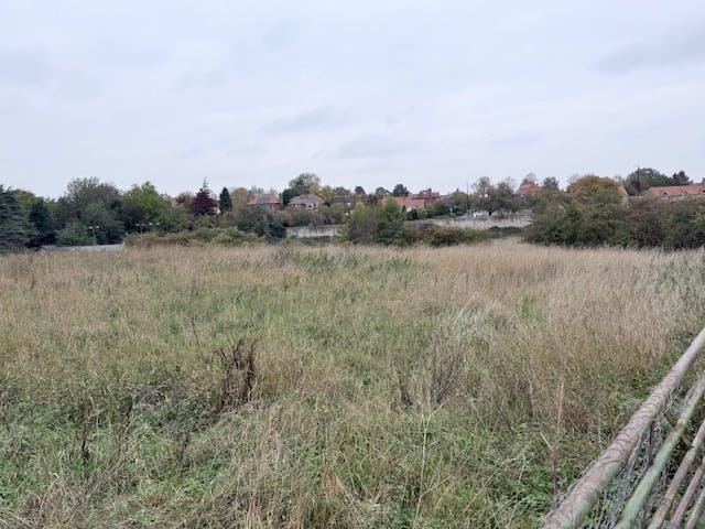 IMG_1505.JPG