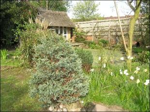 Photo of the property