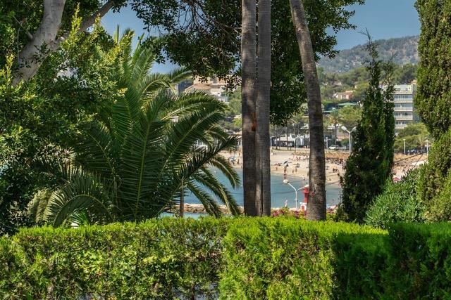 Main image of property: Palma Nova, Mallorca, Balearic Islands