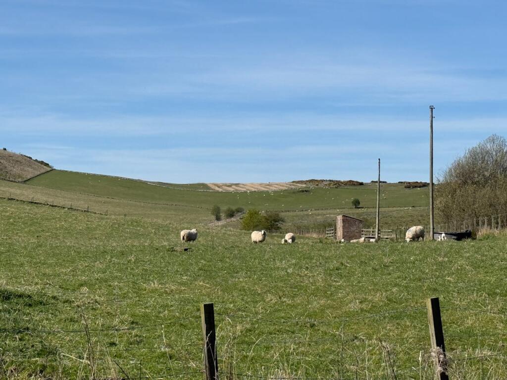 Land and Buildings by Blinkbonny Steadings, Newburgh, Cupar, KY14 6JE photo 4