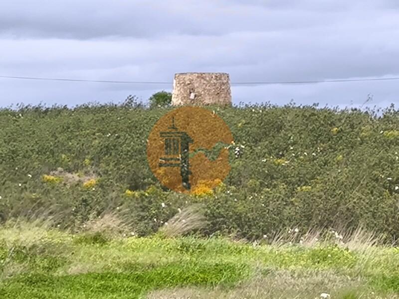 Main image of property: Algarve, Azinhal