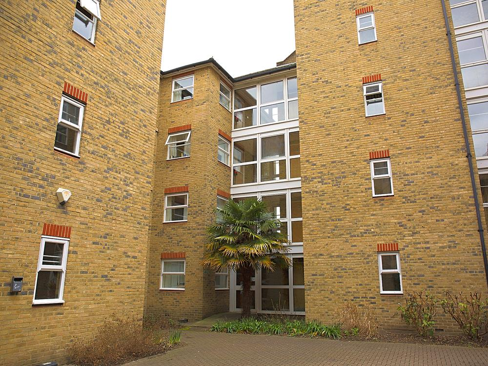 1 bedroom flat share for rent