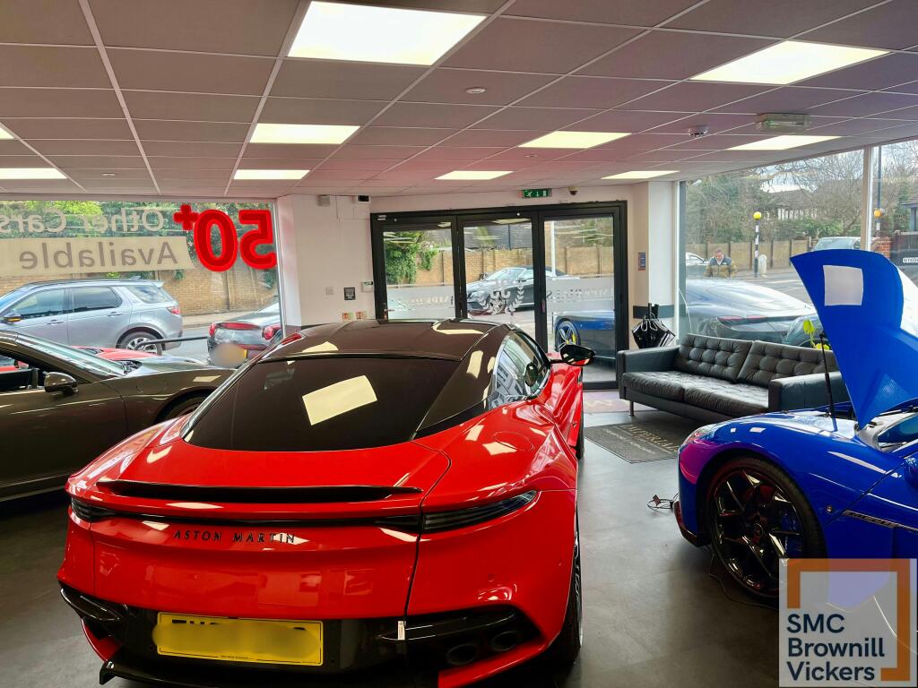 Untitled design (14).jpg