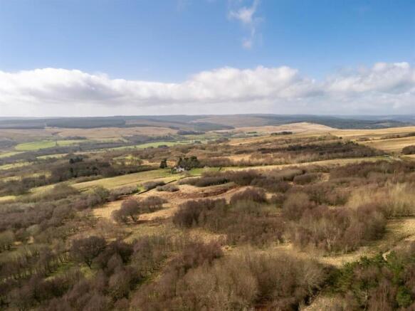 DJI_20260317104246_0236_D (1).jpg