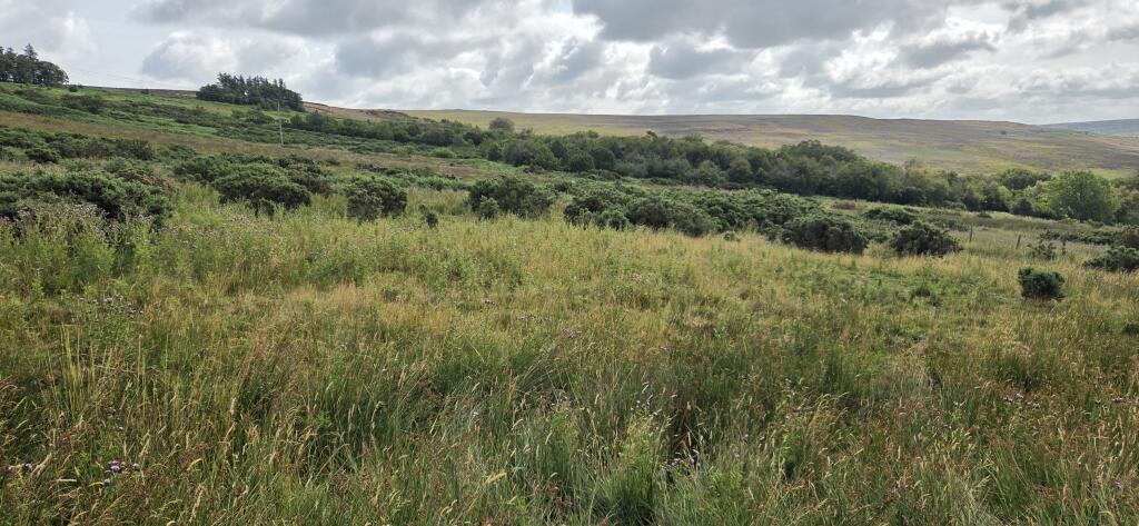 Land at Fowl Green Farm, Commondale, Whitby, North Yorkshire - More