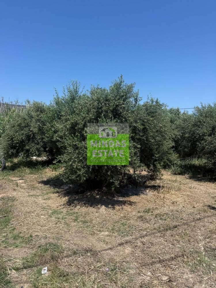 Main image of property: Kastelli, Chania, Crete