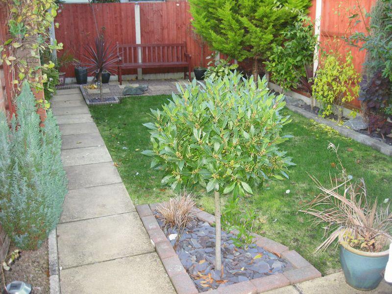Property photo 8