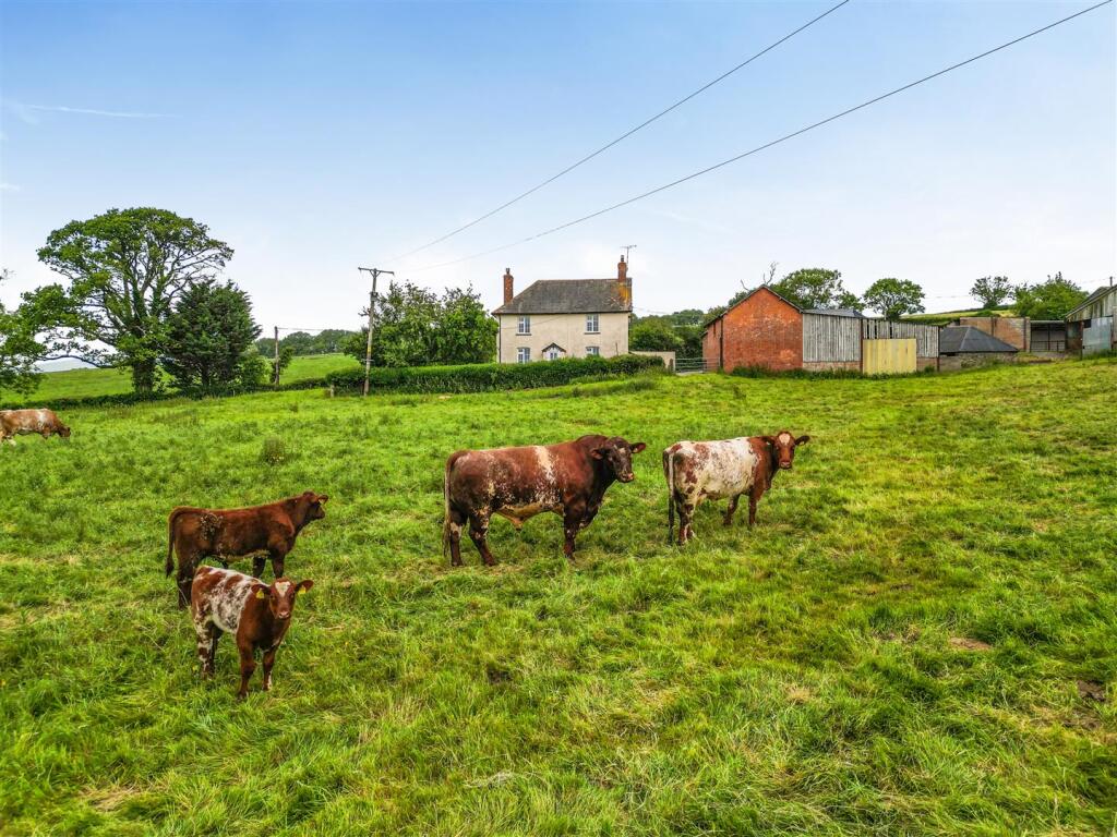 Stockleigh Pomeroy, Crediton photo 4