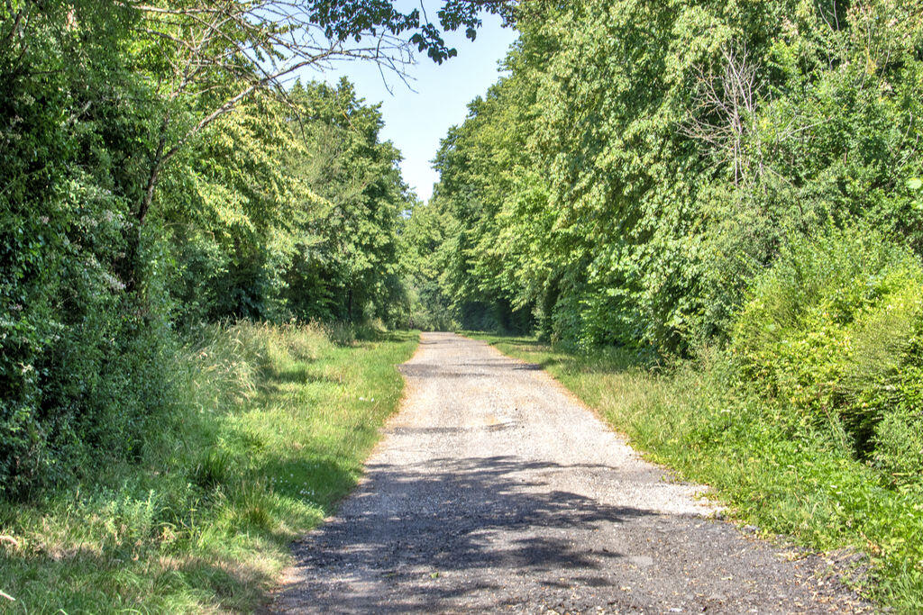 Billingshurst, West Sussex RH14 - View 5