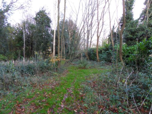 Photo of the property