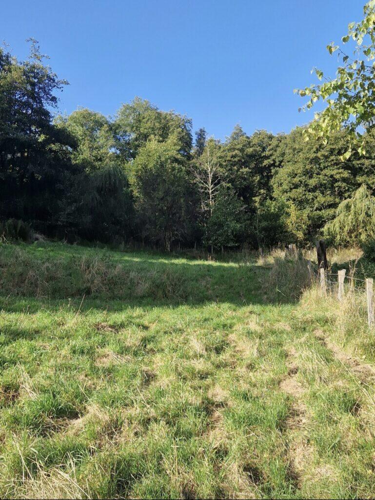 Main image of property: Building Plot At Hillside House, Rothes, Aberlour, Moray, AB38 7AQ