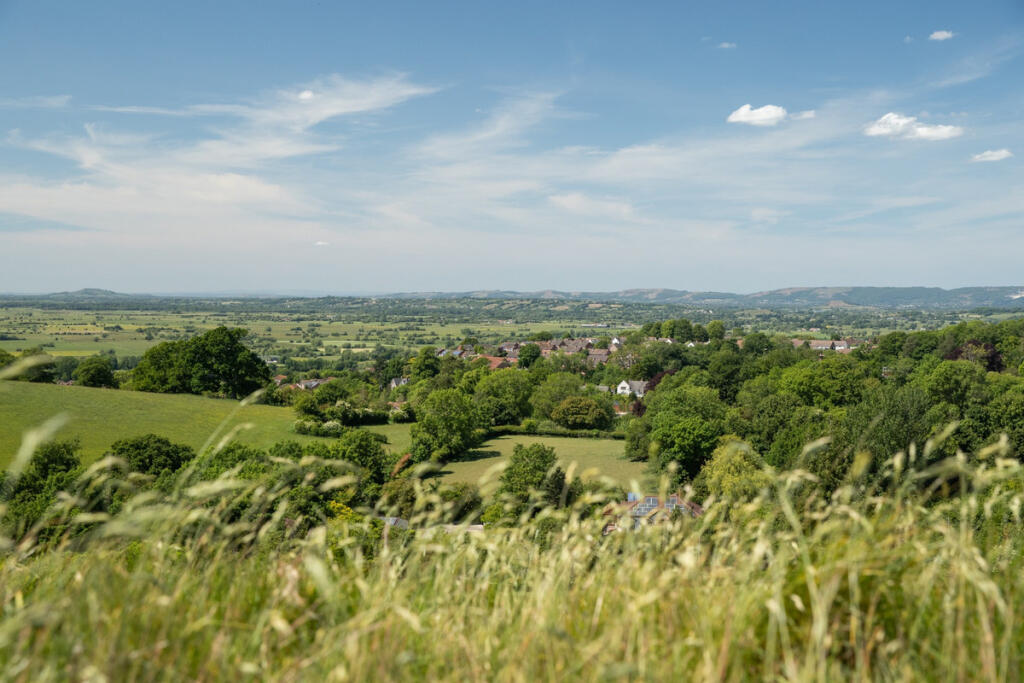 House in Bath, Baltonsborough - More