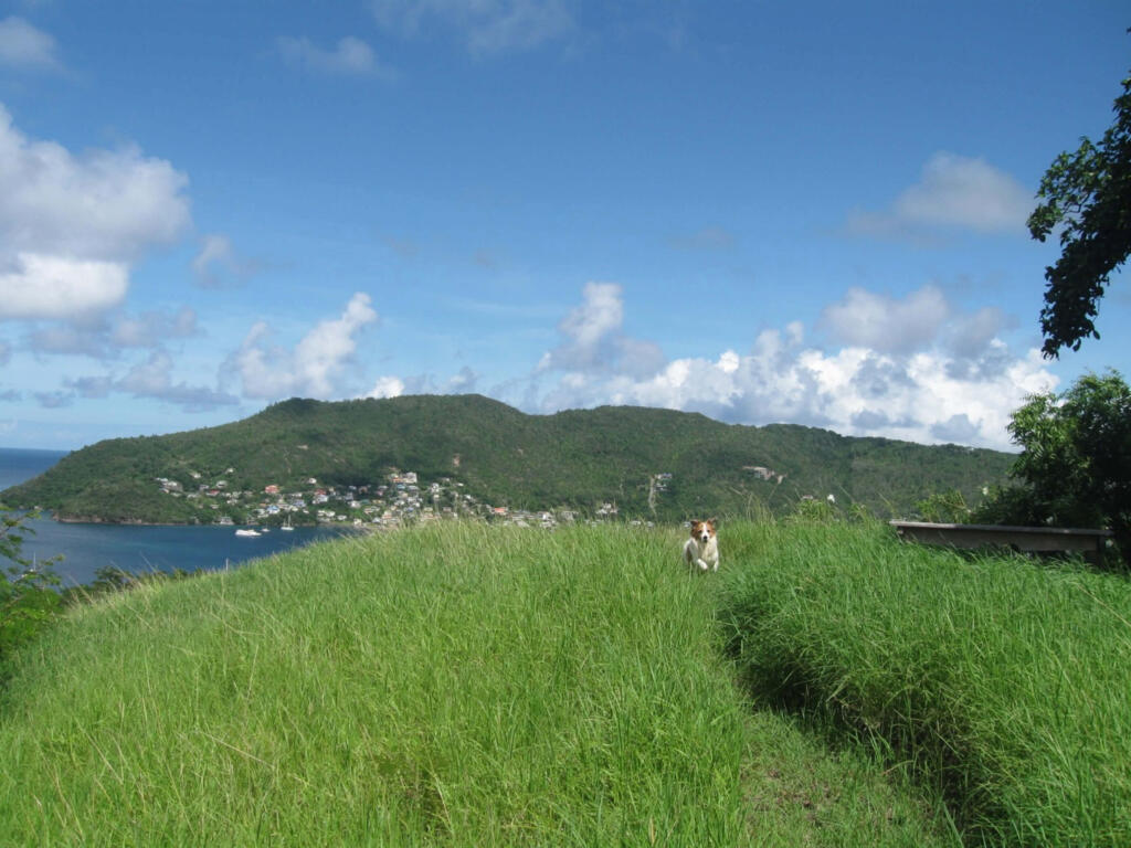 Main image of property: Lawler Hill Private Estate., Lower Bay