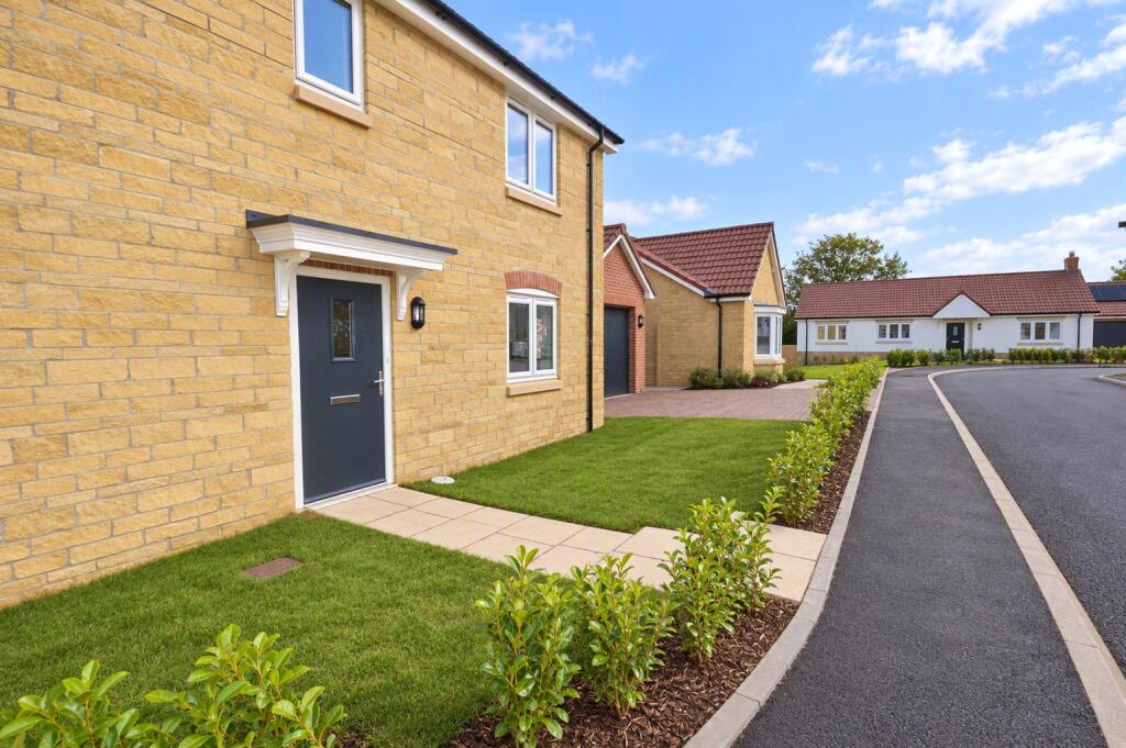 House in Taunton - More